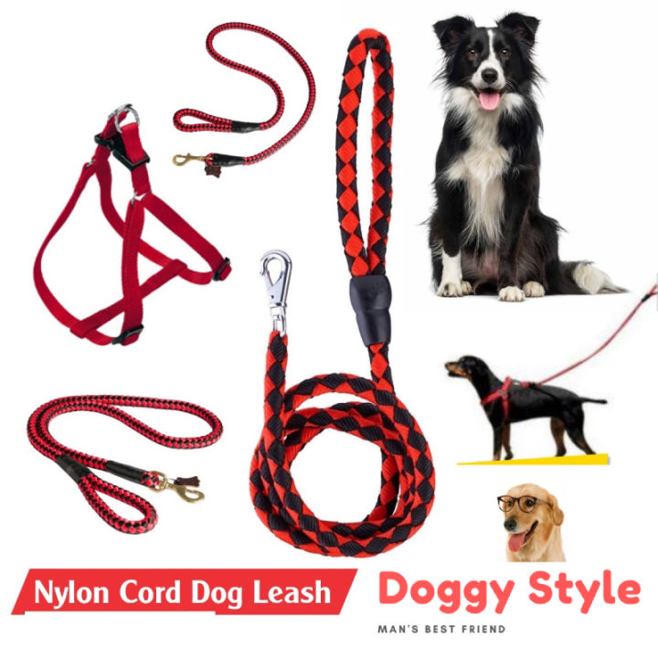 Small%20Two%20Colour%20Walking%20Nylon%20Dog%20Leash%20Dog%20Lead%20Pets%20Dog%20Sale%20Durable%20Traction%20Training%20Rope%20Dog%20Belt%20Dog%20Chain%20Dog%20Body%20Belt%20Chest%20Belt%20Metal%20Buckle%20Clasp%20Dog%20Collar%20Dog%20Strap%20Dogs%20Belt%20Dogs%20Sell%20Dogs%20Sale%20Strip%20Lanka%20Dogs%20Sale%20Sri%20Lanka%20Dog%20Rope%20-%20Image%206