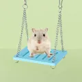 Exercise Play Toys Swing Small Animal Hedgehog Gerbil Hamsters House Pet Sport Exercise Toys Set Rainbow Bridge. 