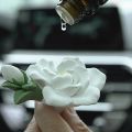 Fragrance Aromatherapy Gardenia Air Outlet Advanced Air Conditioning Vehicular Use Ten Li Car Car Interior Twilight Good Stuff. 