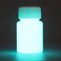 High-Gloss Luminous Paint Waterproof Long-Lasting Fluorescent Luminous Powder. 