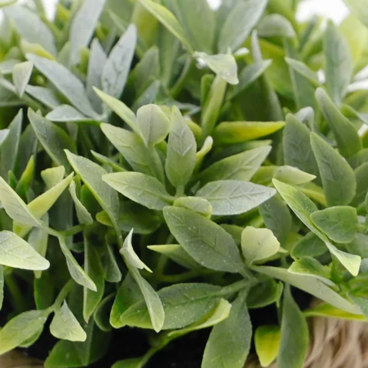 Nordic%20Style%20Green%20Artificial%20Potted%20Plant%2011cm%20Woven%20Artificial%20Plants%20Plastic%20Leaf%20Eucalyptus%20Grass%20Artificial%20Decorations%20Home%20Decor%20-%20Image%208