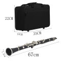 SLADE Bb Clarinet 17 Keys Bakelite Wooden Professional Woodwind Instrument Tenor Clarinet With Box. 