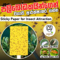 Sticky Paper For Insect Attraction Yellow Glue Trap Home Gardening Agriculture. 