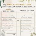 Kokila 100% Natural Safe hair Color | Henna Indigo & 11 Precious Herbs | Soft Black - 1 Pack (2 Pouches 100gm Each)(FROM INDIA)NUZ. 