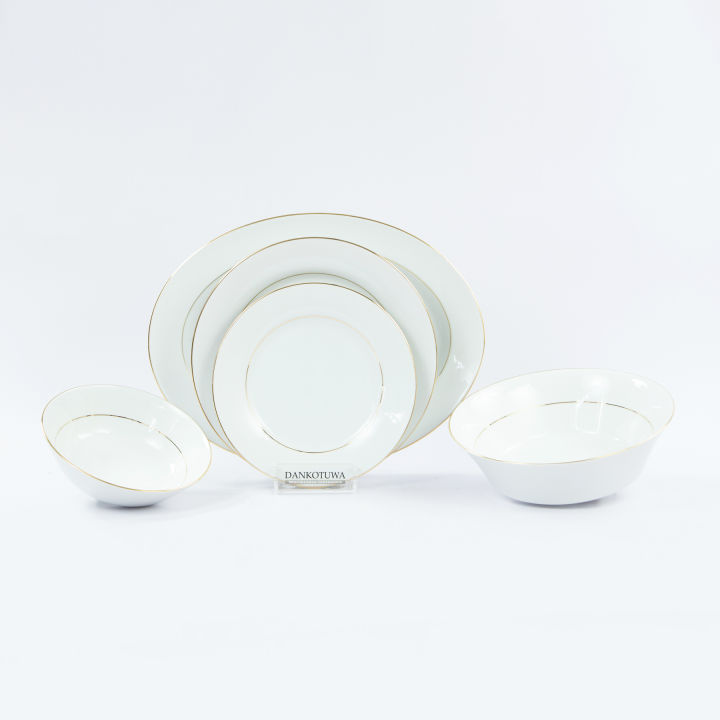 Royal Fernwood Gold Line 21 Pcs Dinner Set