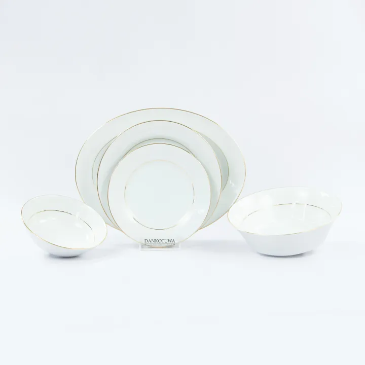 Royal Fernwood Gold Line 21 Pcs Dinner Set