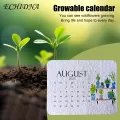 Wildflower s Paper 2025 Plant Calendar with Plantable Growing Plants Eco-friendly Nature Planner for Sustainable Living Buyers' Favorite Eco-friendly Calendar. 