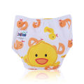 printed washable diaper 5 with 5 insert miscrofabric. 