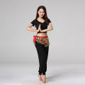 Dancewear Triangle Hip Scarf Belly Dance Coins Belt Fashion Waist Chain Belly Dance Waist Chain Women Waist Chain. 