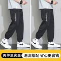 Casual Pants Men's Ice Silk Ankle-Tied Sports Pants 2024 Summer New Men's Loose Cargo Pants Men's Cropped. 