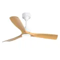 Polycrome Viera Ceiling Fan With Light - ECFP231B BLDC. 