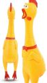 Rubber Chicken Toy Rubber Chicken Toy. 