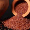 Finger Millet (Kurakkan) | Unpolished Finger Millet (குரக்கன்) - 1Kg. 