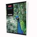 Richard Plain Science Book - 120Pgs. 