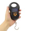 Mini 50Kg Portable Luggage Hook Electronic Weight Digital Mango Scale. 