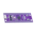 Enhanced Touch& Peripheral System Integration W806 MCU Development Board IoT Flat Low- MCU Chip Core Board. 