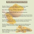Kasturi Turmeric Powder 100g கஸ்தூரி மஞ்சள் Pure Wild Turmeric. 