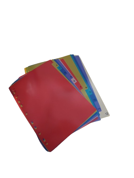 1-20%20A4%20file%20divider%20-%20Image%202