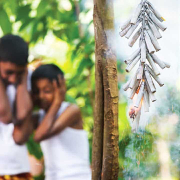 fireworks Crackers [Rathinna] wla (Wal)