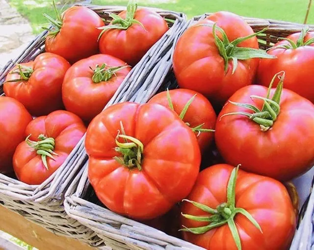 Vegetable%20Seeds%205Packets.%20%E0%B6%B6%E0%B7%93%E0%B6%A2%20%E0%B7%80%E0%B6%BB%E0%B7%8A%E0%B6%9C%205%20%E0%B6%9A%E0%B7%8A.%20-%20Image%204