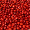 Madatiya Seeds Adenanthera Pavonina 100% Ceylon Organic Natural Sri Lanka New 50 seeds pack in daraz flyer. 
