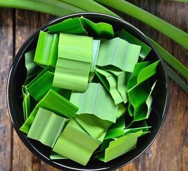 Fresh Rampe 06 Leves