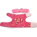 Safety Outdoor Adjustable Pet Squirrel Hamster Vest Harness Leash Leads Chest Strap. 