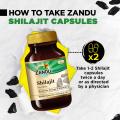 Zandu Shilajit Capsule, 60 capsules x Po2, Original and Pure Himalayan Shilajeet, Boosts Immunity, Strength and Stamina. (FROM INDIA) SAB. 