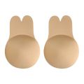 Ladies Push Up Bra Backless Strapless Invisible 2 Pair For Girls. 