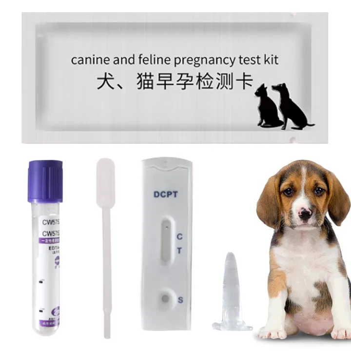 Dog%20Pregnancy%20Test%20Strip%20Dog%20Pregnancy%20Test%20Canine%20Pregnancy%20Test%20Early%20Pregnancy%20Test%20Strips%20Veterinary%20Supplies%20-%20Image%206