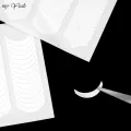 Myyeah 2 Sheet French Tip Guides Nail Sticker White Manicure Stripe Lines Adhesive Decals Nail Art DIY Professional Tool. 