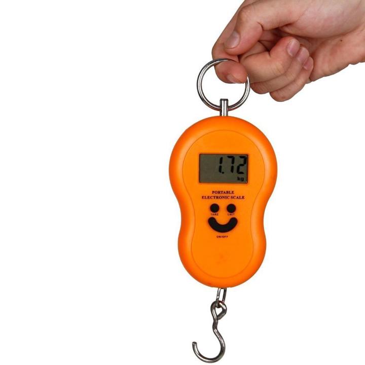 Portable Mini 50Kg/10g LCD Display Luggage Fishing Hook Electronic Weight Digital Scale Pocket Weighing Hanging Scale