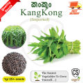 Kang Kong Water Spinach Seeds Gardening Agriculture. 