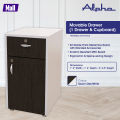 Movable Drawers  (One Drawer & Cupboard ). 