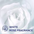 LUX International Creamy Perfection Plus For Smooth Fragrant Skin with White Rose And Swiss Moisturizer bathing Soap | For Glowing Skin | 500 g (4 x 125 g) (FROM INDIA) JEZ. 