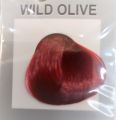 Wild Olive Repair Hair Dye Permanent Hair Color Cream Ready to Use Hair Dye 60mlX2+10ml. 