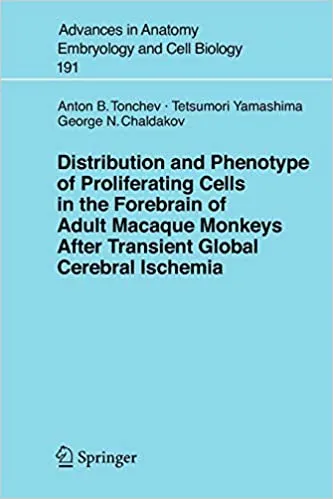 Distribution and Phenotype of Proliferating Cells in the Forebrain of ...