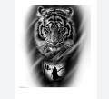 High Quality Vehicle Decore Sticker (22 x 19 cm) For Car | Van | Bike | Three wheel Waterproof Tiger Stickers. 