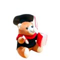 Graduation Teddy Bear. 