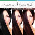 Vegetal Safe Hair Color -Soft Black 100gm (Pack of 2) - Certified Organic Chemical and Allergy Free Bio Natural Hair Color with No Ammonia Formula for Men & Women(FROM INDIA)NUZ. 