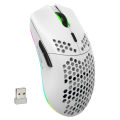 HXSJ T66 RGB 2.4G Wireless Gaming Mouse RGB Lighting Charging Mouse with Adjustable DPI Ergonomic Design for Desktop Laptop White. 