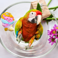 Premium Sunflower Bird Food Mix for African Parrots - Natural Energy Boost Formula. 