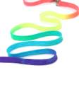 Pet Dog Leash Lead with Rainbow Colors Colorful for Small and Mediume Dogs. 
