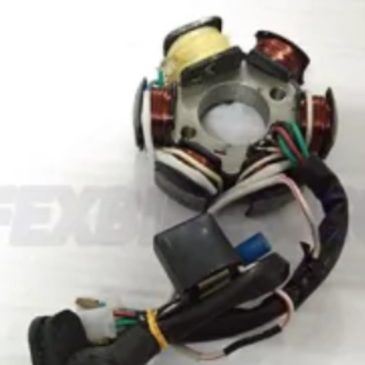 BAJAJ BYK 2000-2003 Model Motorcycle Magneto Stator Plate Ignition Coil Compatible (Not Original)