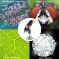 1600X Digital Microscope Camera 3In1 for Soldering LED Magnifier. 