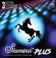 Stamina Plus Condoms 3Pcs. 