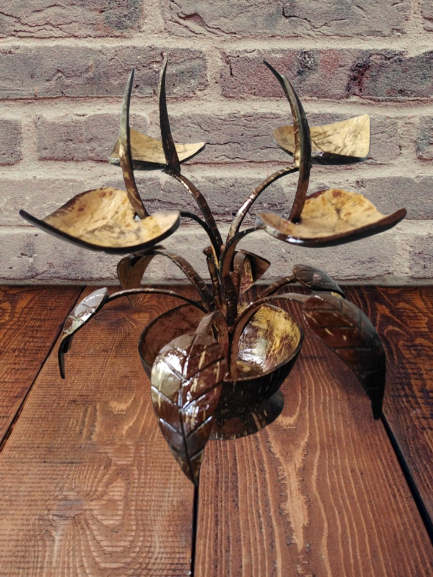 Coconut Shell flower vase Handmade