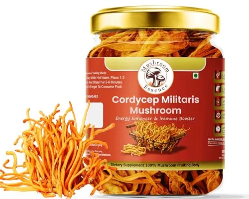 Mushroom Essence Cordyceps Militaris Dried Mushroom 35gms -Energy | peak performance|Fatigue Support - pack of 1 (FROM INDAI)SAB