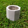 Cactus Mini Cement Pot - Octagon Shape-Succulent Planter. 