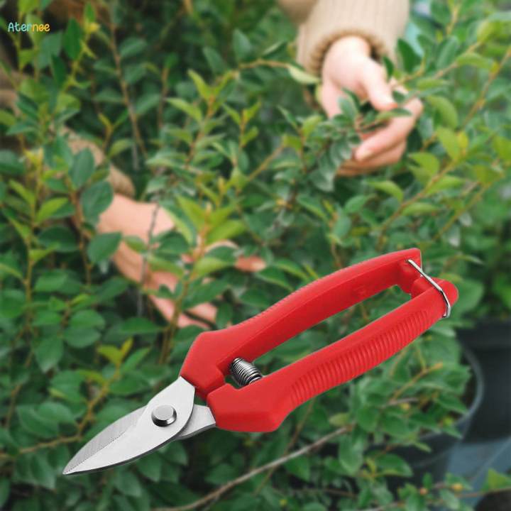 Gardening%20Hand%20Pruners%20Sharp%20Fruit%20Picking%20Scissors%20for%20Farm%20Thinning%20-%20Image%203